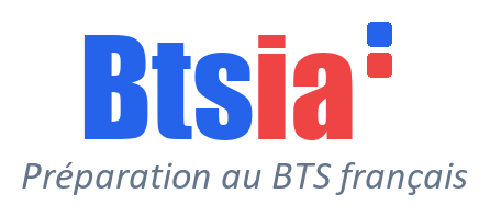 BTSIA - Préparation au BTS français